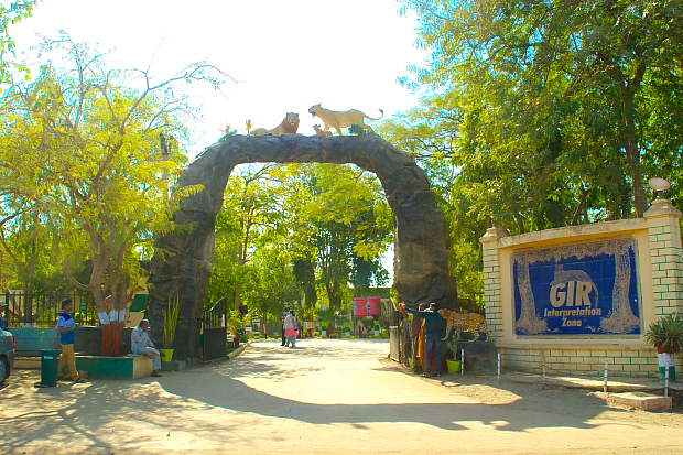 Sasan Gir