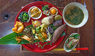 Herbal Dish
